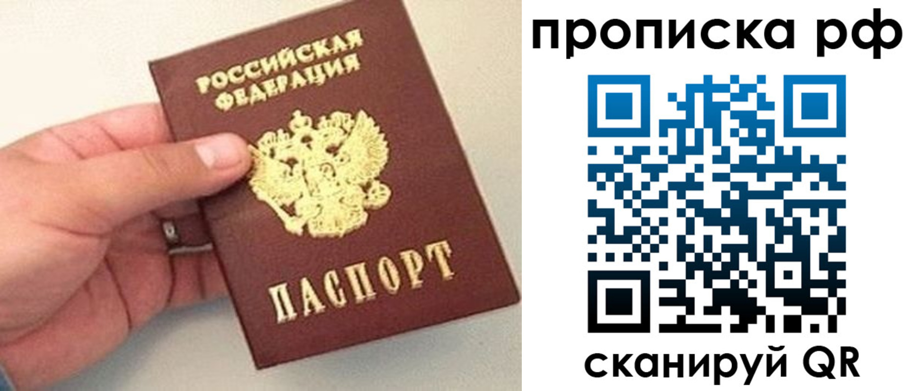 временная регистрация для всех в Камышине